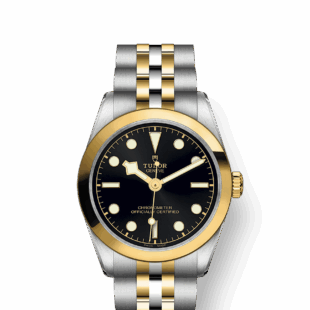 Tudor Black Bay 31 S&G, Stainless Steel and 18k Yellow Gold, Ref# M79603-0001
