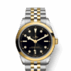 Tudor Black Bay 36 S&G, 316L Stainless Steel and 18k Yellow Gold, Ref# M79643-0006