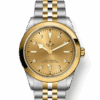 Tudor Black Bay 41 S&G, 316L Stainless Steel and 18k Yellow Gold, Ref# M79683-0008